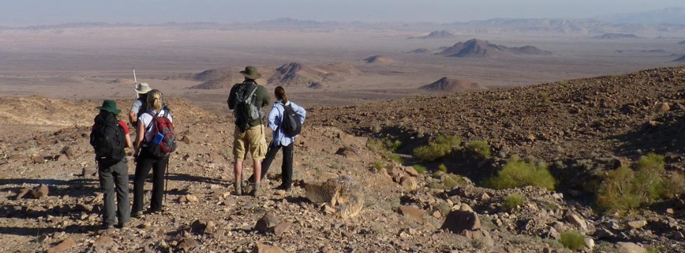 undulating Wadi Araba!